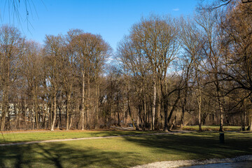 autumn view in The English Garden, Munich, Germany.