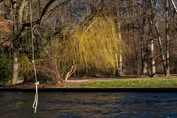 autumn view in The English Garden, Munich, Germany.