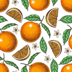 Orange seamless pattern. Fresh citrus background. Hand drawn vector illustration. Organic food, citrus design template. Colored illustration