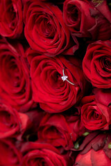 Engagement ring in red roses , gold ring with diamond
