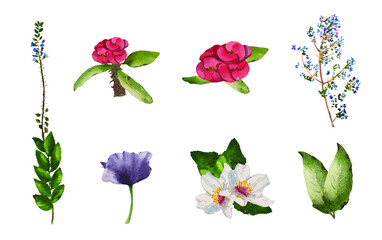 Watercolor flower package