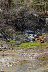 A beautiful small stream is littered with a bunch of garbage, empty bottles, cellophane bags, plastic cans