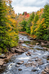 Fototapeta na wymiar Vertical view of water at Blackwater creek river in Davis, West Virginia in state park with colorful autumn fall maple tree foliage background