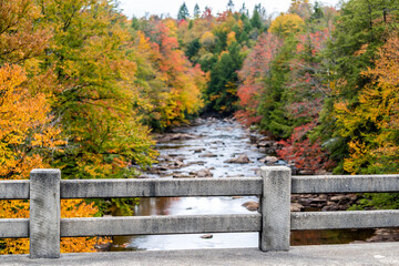 Blackwater creek river creek stream water in Davis, West Virginia in state park with colorful...