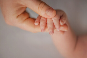 Mom holds the hand of her newborn baby in her hand. Hand of a Newborn In Mom's Hands