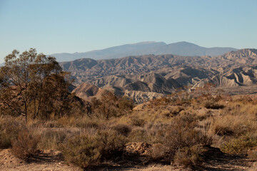 tabernas desert