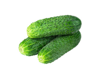 Three fresh gherkin cucumbers isolated on white background.
