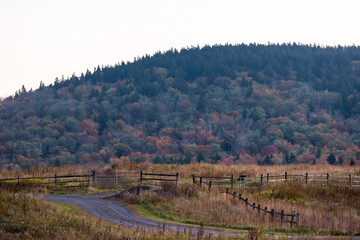 Countryside rural gravel dirt road by West Virginia Monongahela national forest Little Laurel mountains scenic overlook in autumn in Highland Scenic Highway morning sunrise with rolling hills