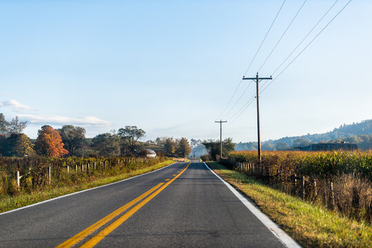 Roadside farmhouse house in countryside rural road highway in Virginia, USA by mountain forest with corn field and winery vineyard grape crop in colorful autumn at sunrise