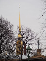 the spire of the Peter and Paul Fortress in the spring behind the trees without foliage and a lantern against the background of the cloudy gray Petersburg sky