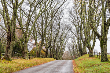 Countryside narrow rural road leading to Ash Lawn-Highland, Home of President James Monroe in...
