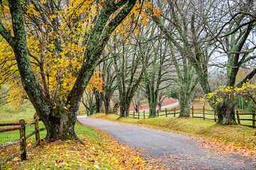 Countryside narrow rural winding paved road to Ash Lawn-Highland, Home of President James Monroe in...