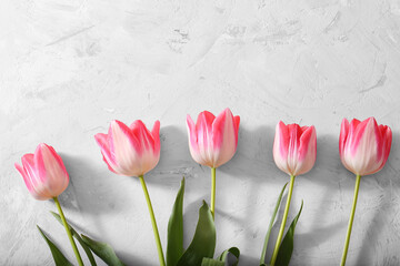 Pattern of flowers tulips for the Mother's Day