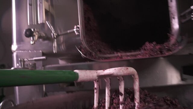 Trester Bilder – Durchsuchen 2,111 Archivfotos, Vektorgrafiken und ...