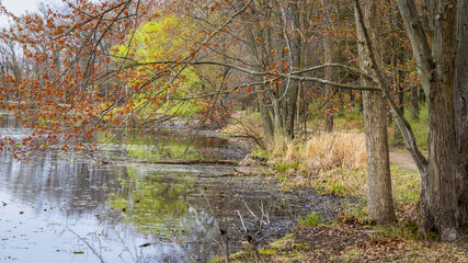 Colorful spring trees with young leaves by lake