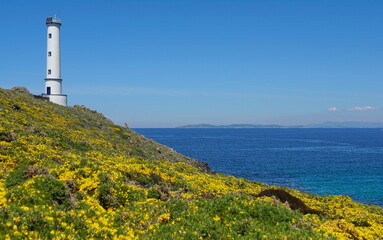 Fototapeta na wymiar Lighthouse with gorse in flower on the coast of Galicia in Spain, Atlantic ocean, Pontevedra province, Cangas, Cabo Home