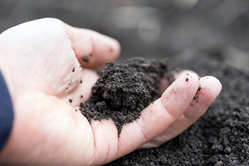 soil in hand