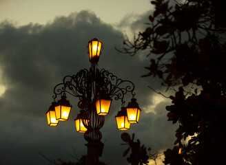  Illuminated street lamp in the park