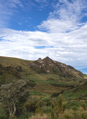 Fototapeta premium Landscapes of the Los Nevados National Natural Park in Manizales, Caldas, Colombia.