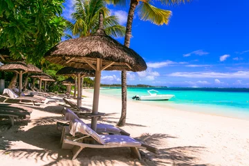 Gardinen Tropical vacation, relaxing beach scenery. with beach chairs under palm trees and umbrellas © Freesurf