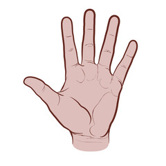 Palm side view of the hand, colored version. Flat vector drawing isolated on white background, EPS 8.