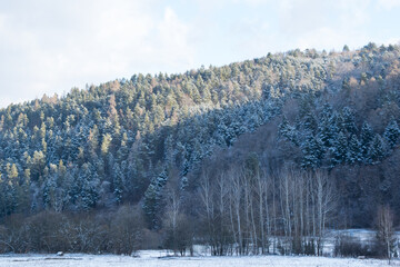 Snowy trees on hills in winter partially lit by sun