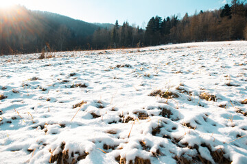 Snow on a meadow in winter during sunrise