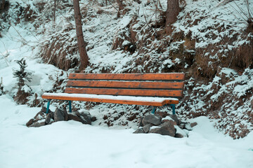 Wooden bench in forest in winter