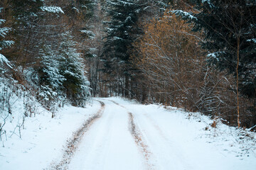 Road in a snowy forest in winter