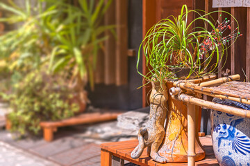 Wooden sculpture depicting a cat standing on back legs looking for food on a pedestal with plants in the Yanaka-Ginza shopping street known as a holy place for cats.