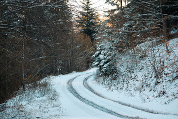 Road in a snowy forest in winter