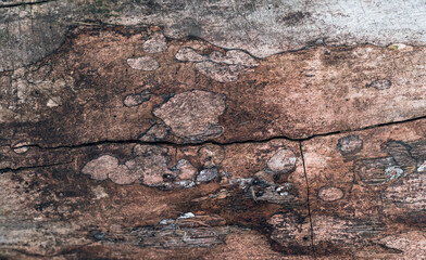 Dry old wood texture