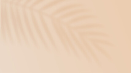 Palm shadow on sunny background. Tropical leaf shadow.