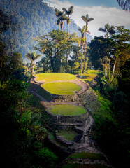 the Ciudad Perdida in Magdalena, Colombia, full of Nature, Vegetation, History and Culture