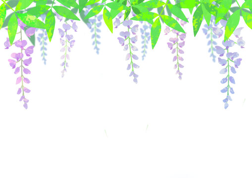 385 Best ふじの花 Images Stock Photos Vectors Adobe Stock 385 Best ふじの花 Images Stock Photos Vectors Adobe Stock