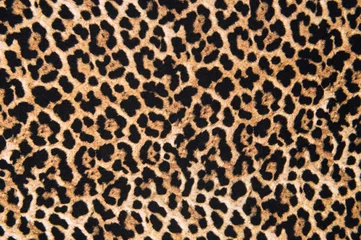 Fototapeten Animal print textile texture. Leopard fur background © LiliGraphie