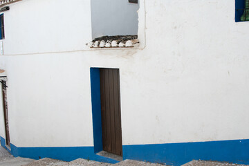 Brown door with blue border on white wall