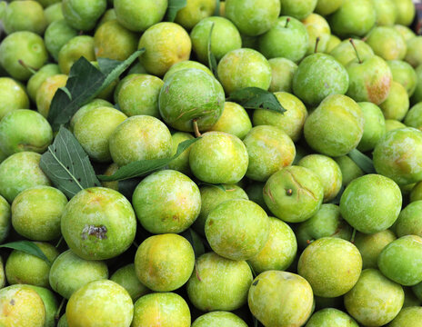 fresh green plum as food background