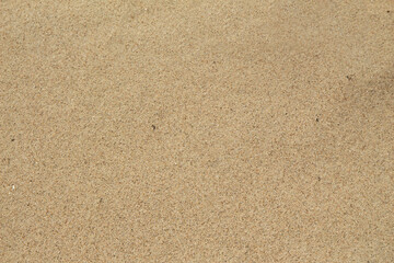 Fototapeta na wymiar Purer Sand am Meer mit Sandkörnern in Gelb