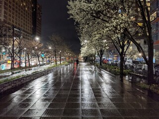 Rainy night in Downtown Manhattan, New York City - April 2021