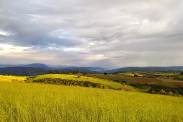 field and blue sky