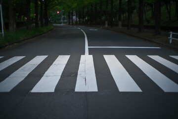 Tokyo,Japan-May 7, 2021: Pedestrian crossing at dawn in Japan
