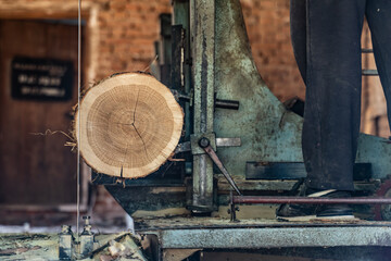 Sawmill cutting log process of making wood planks lumber and timber industry