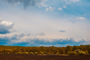 Obraz premium Field, forest and sky with clouds.