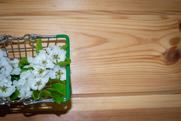 White flowers of an apple tree in a basket for groceries.