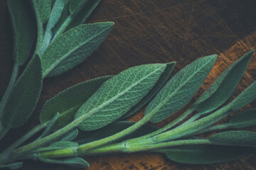 Fresh green sage leaves on table, food background with copy-space - 432749141