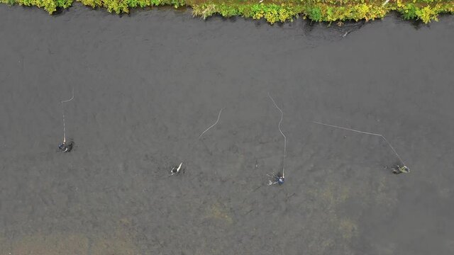 Top-Down Aerial shot of Fly Fisherman Casting Along Scenic Salmon River in Pulaski, NY