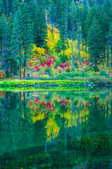 A burst of fall colors along the Wenatchee River as it passes through the Tumwater Canyon near Leavenworth Washington