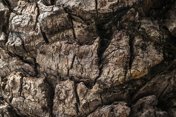 Grey stone wall of an old building, background texture of a brick