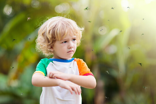 Mosquito On Kids Skin. Insect Bite Repellent.